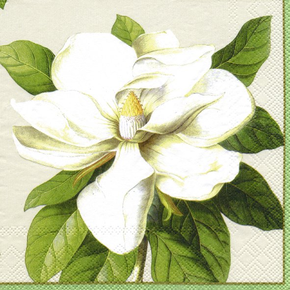 white magnolia and green leaves Decoupage Napkins