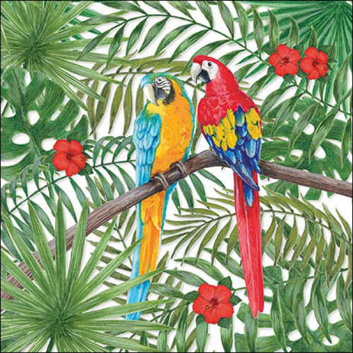 colorful parrots on branch and tropical flowers  Decoupage Napkins