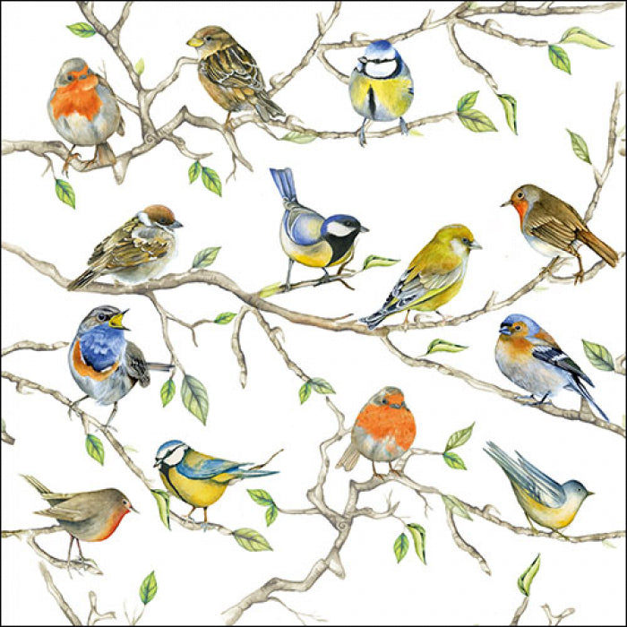 colorful birds on branches  Decoupage Napkins