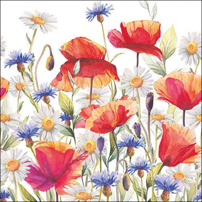 red poppies with blue flowers  Decoupage Napkins