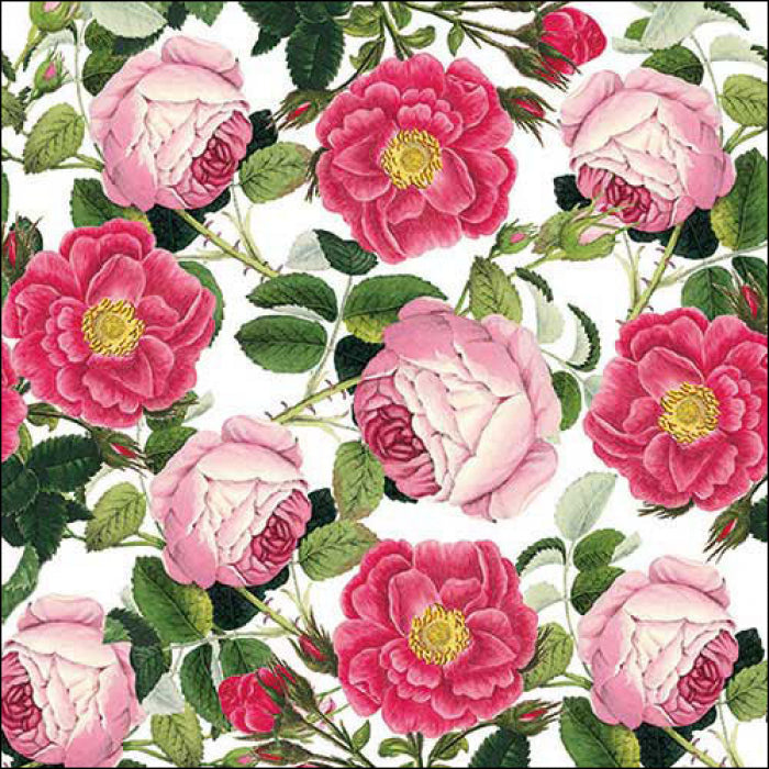 red and pink rose blossoms green leaves  Decoupage Napkins