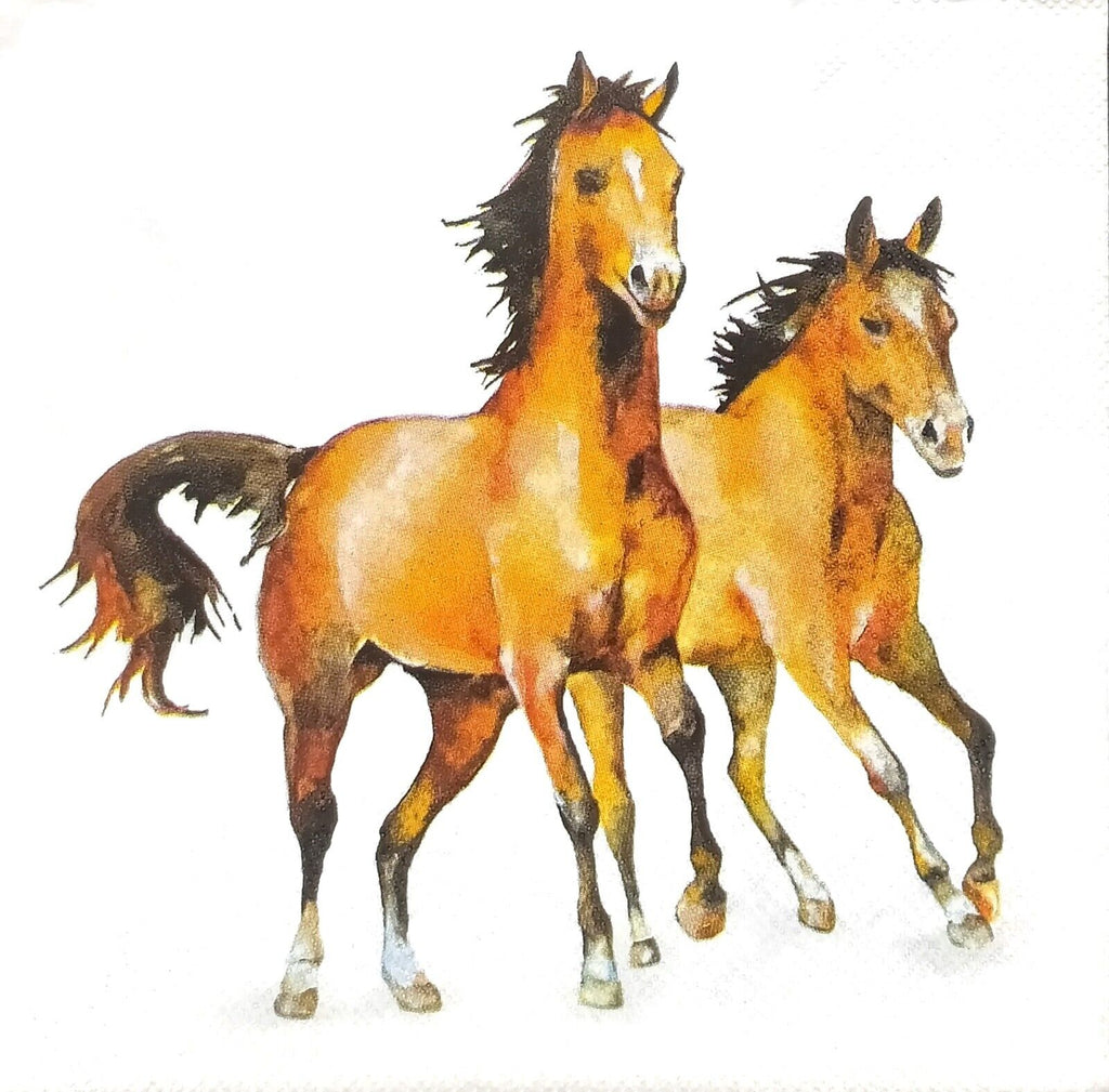 two wild brown horses  Decoupage Napkins