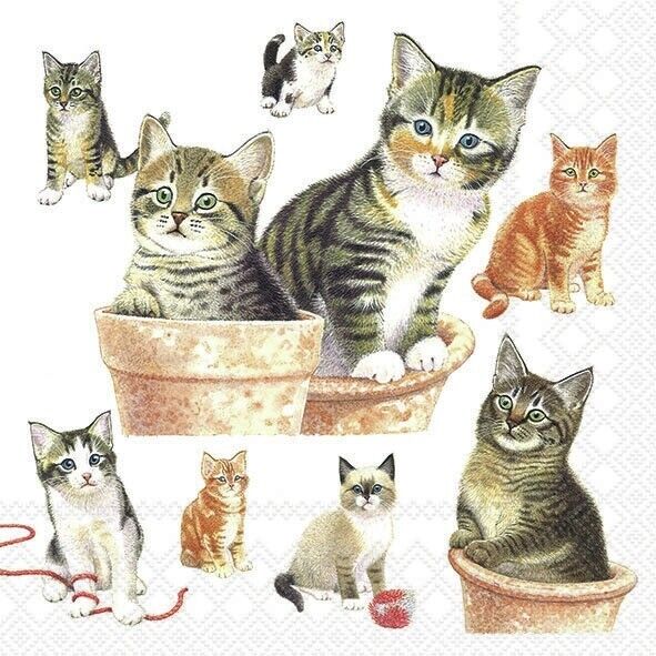 images of kittens in  bots and with string  Decoupage Napkins
