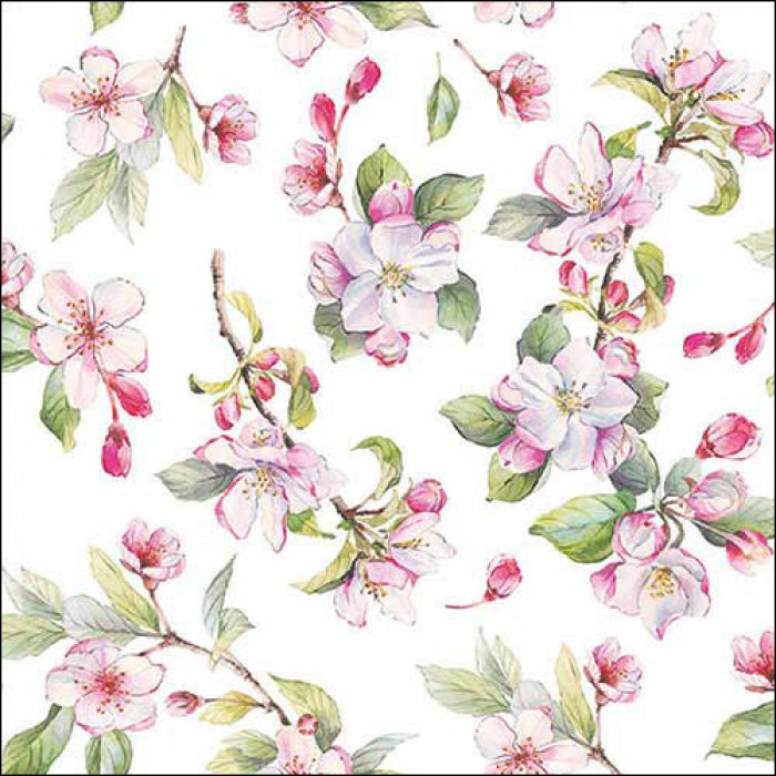 pink cherry blossoms on white  Decoupage Napkins