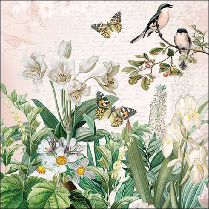 birds and butterflies with white flowers in garden  Decoupage Napkins