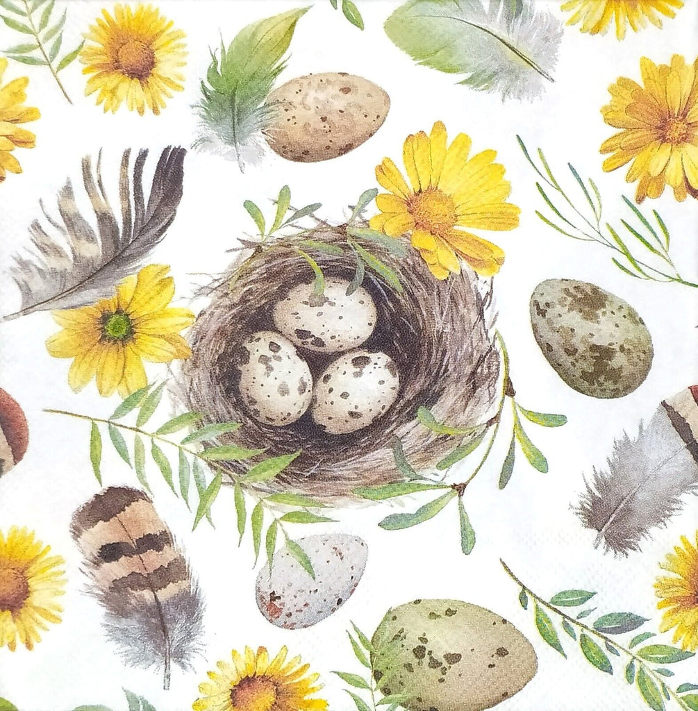 birds nest with speckled eggs  with yellow blossoms and feathers on white  Decoupage Napkins