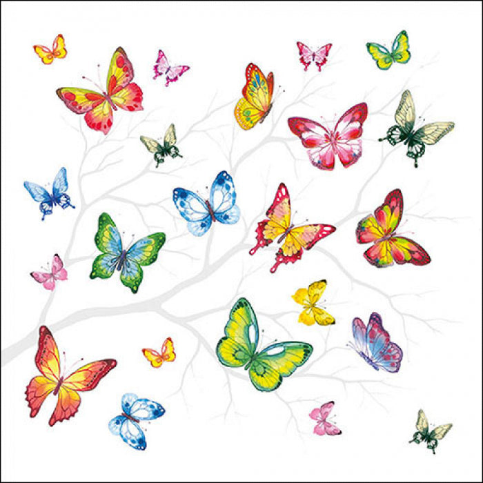 multi colored butterflies around a branch on white Decoupage Napkins