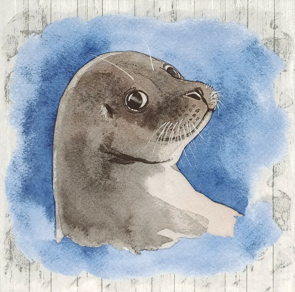 head of a grey sea seal on blue  with grey plank background Decoupage Napkins