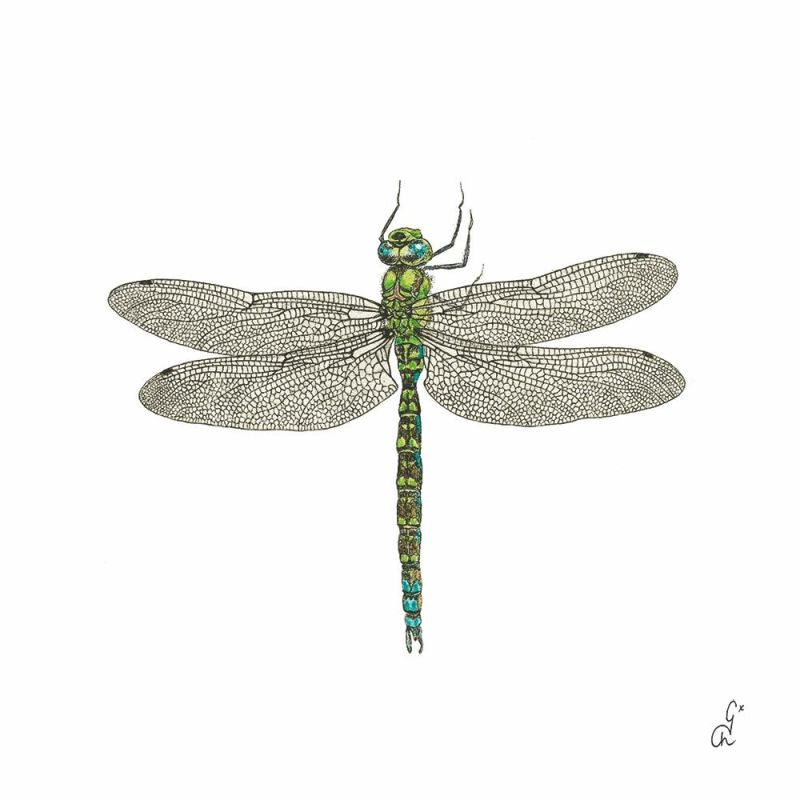 green dragonfly with clear wings on white  Decoupage Napkins