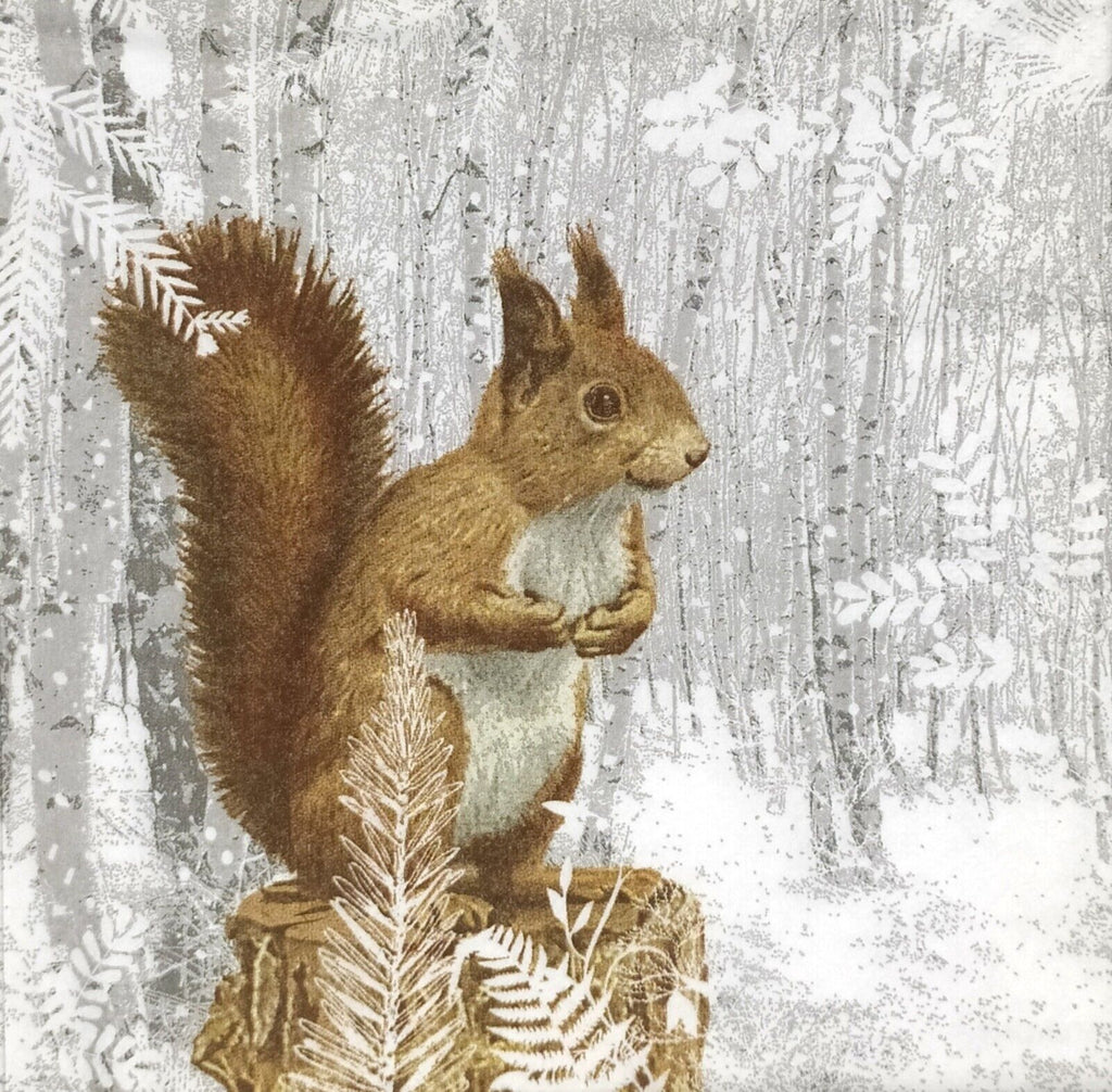 brown squirrel on tree stump in snow covered forest Decoupage napkins