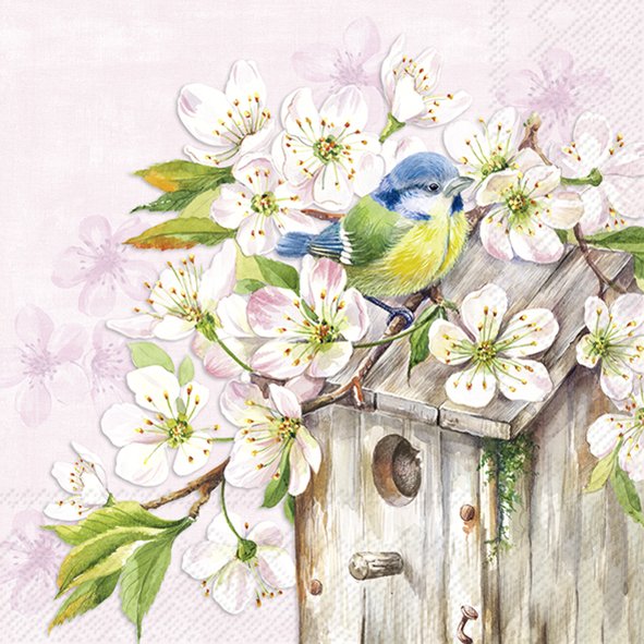 blue and yellow bird on gray birdhouse with white cherry blossoms Decoupage napkins