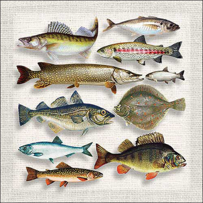 river fish in a row of rainbow trout, bass, and other fish   Decoupage Napkins