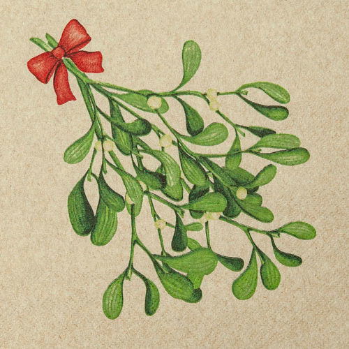 green herbs tied by red ribbon on cream Decoupage Napkins