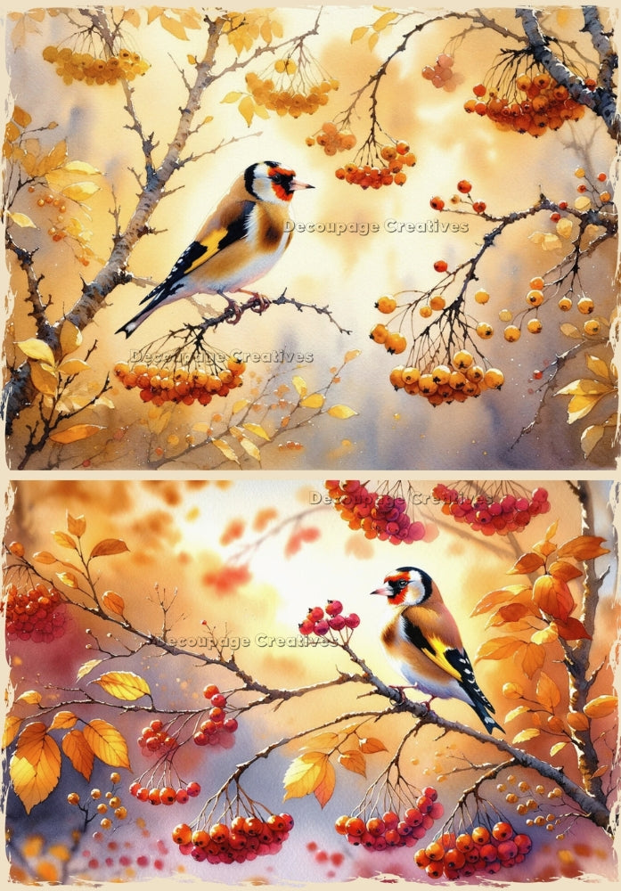 Autumn goldfinch on a branch with red berries Decoupage Creatives Rice Paper