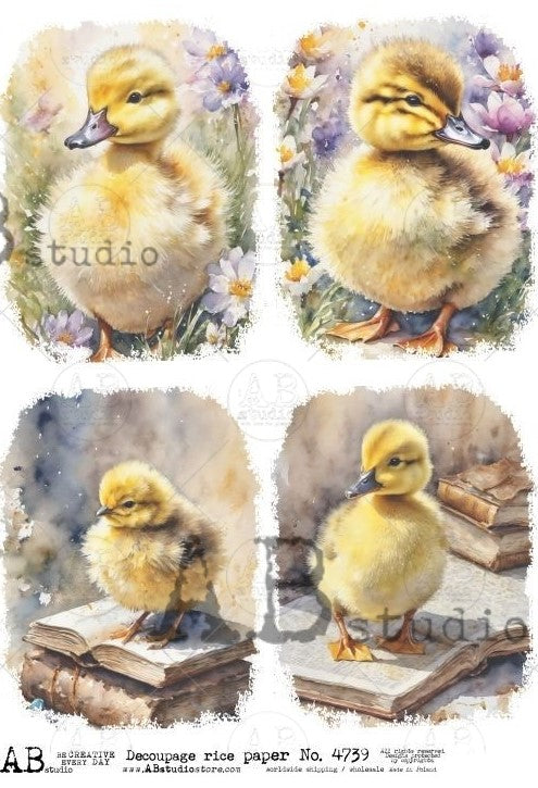 yellow chicks and books and flowers AB Studio Rice Papers
