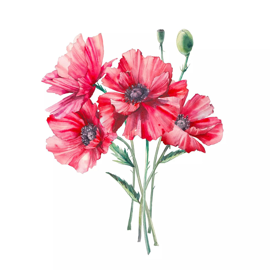 red poppy flowers with green stems on white Decoupage Napkins