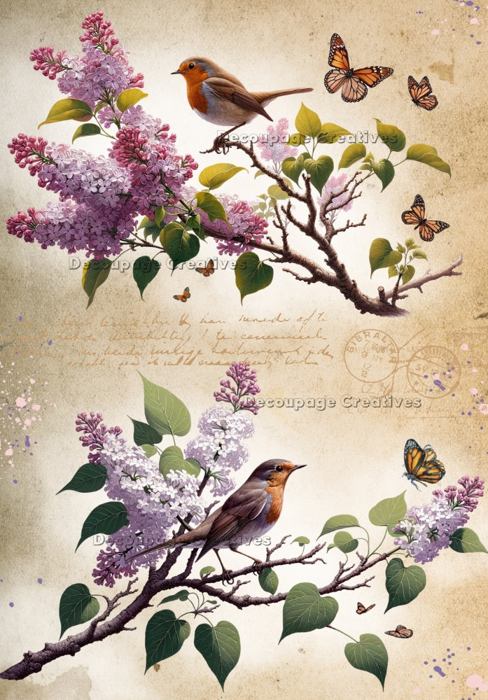 bird on a branch with pink and purple blossoms with yellow and orange butterflies on branches Decoupage Creatives Rice Paper