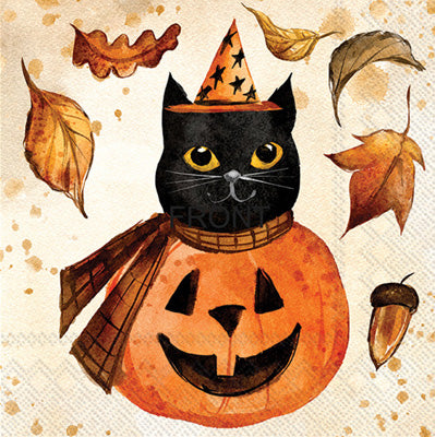 black cat dressed as a orange pumpkin and fall leaves  Decoupage Napkins