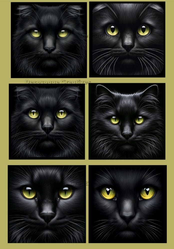 black cats with green eyes Decoupage Creatives Rice Paper