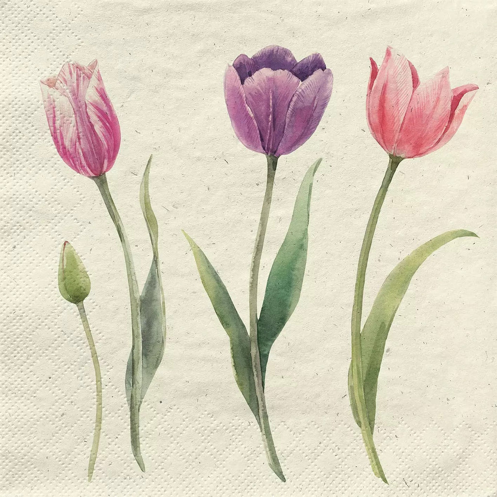 purple and pink tulips  Decoupage Napkins