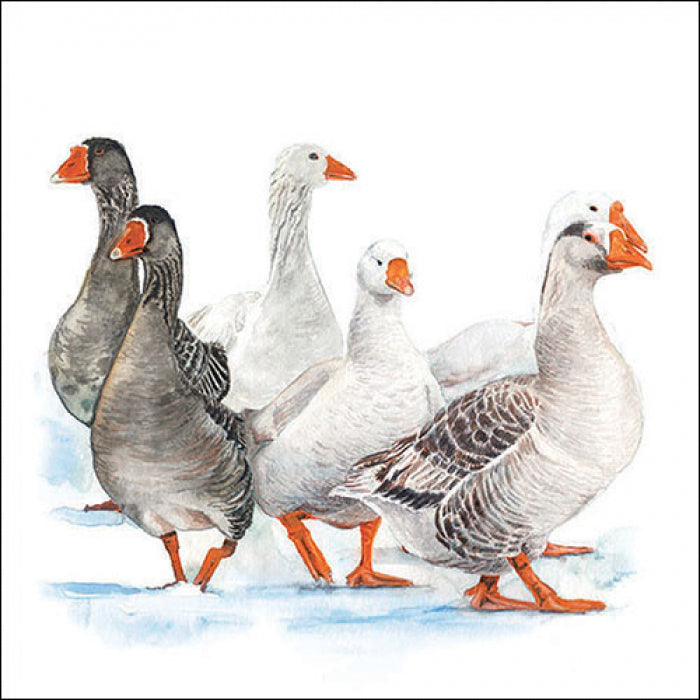 Grey and white geese on white from DecoupageNapkins.com