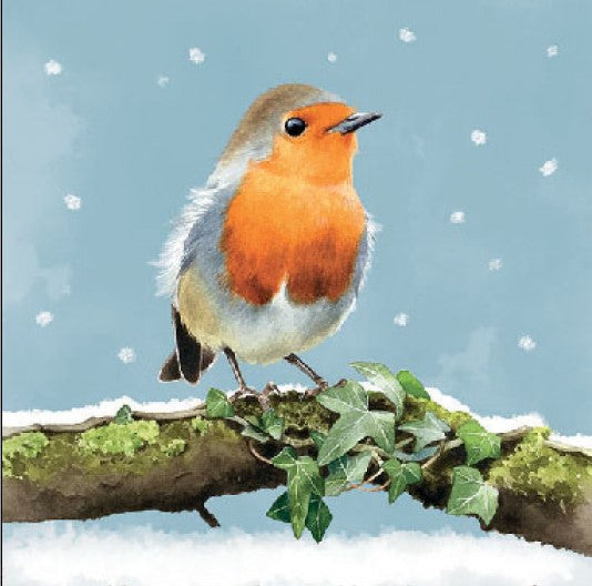 Robin on green branch in snow from DecoupageNapkins.com