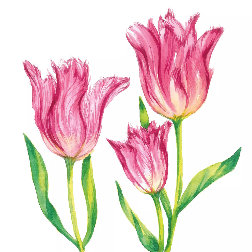 Pink flowers with green leaves on white background.