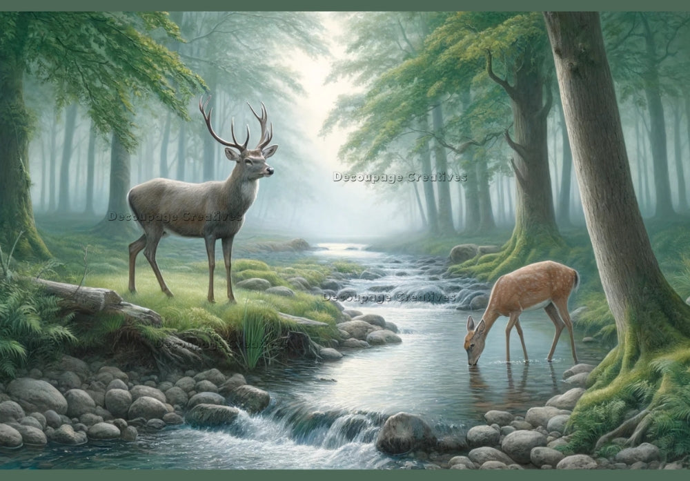 Stag and deer in forest by a stream Decoupage Creatives Rice Paper
