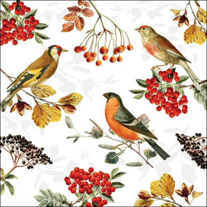 multicolored birds with red and black berries from DecoupageNapkins.com