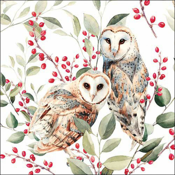 Two brown and grey owls with green leaves and red berries from DecoupageNapkins.com