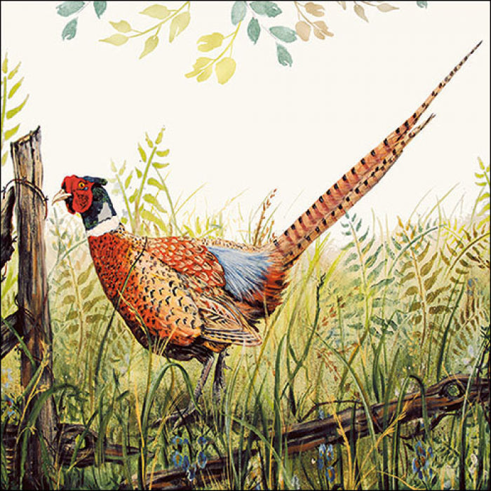 brown green and red pheasant in green grass with wood fence from DecoupageNapkins.com