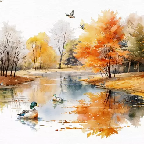 ducks on pond surrounded by trees with orange and yellow leaves