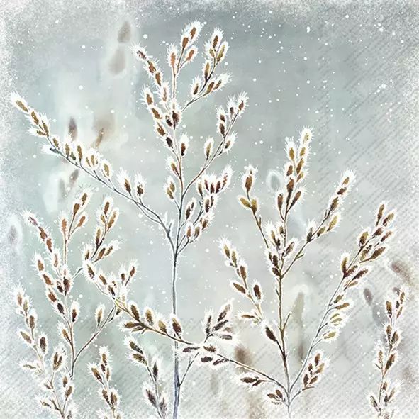 Frosted branches against a snowy background