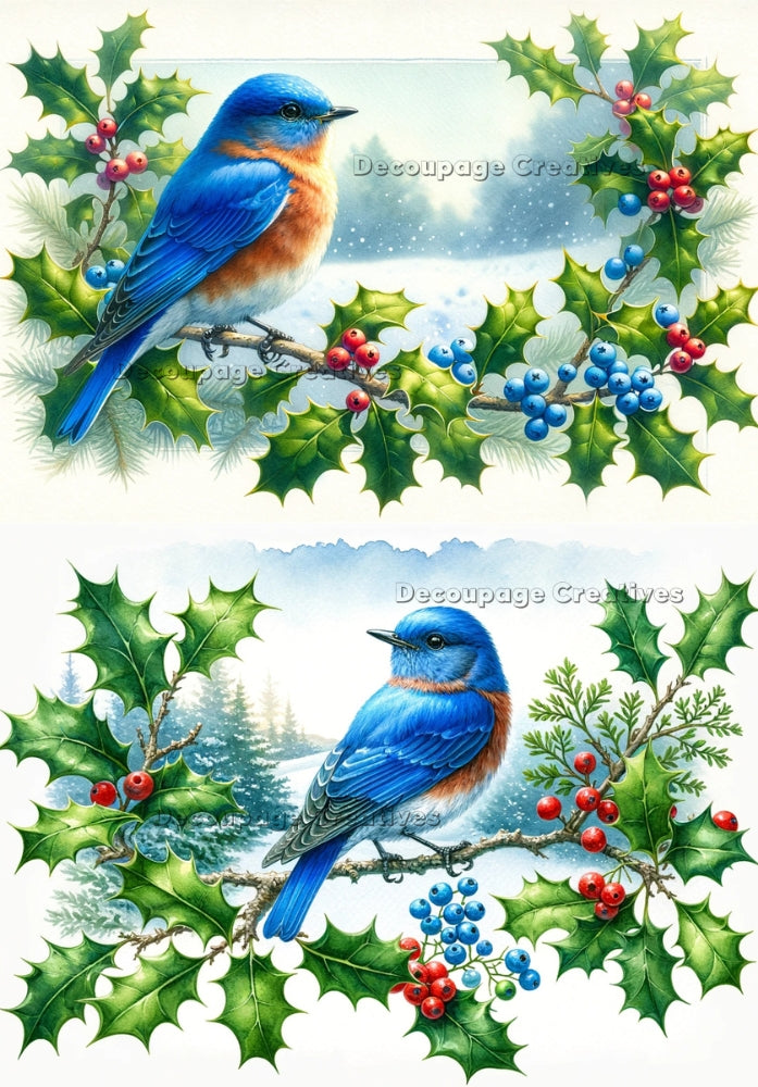 blue birds on holly branch with berries Decoupage Creatives Rice Paper