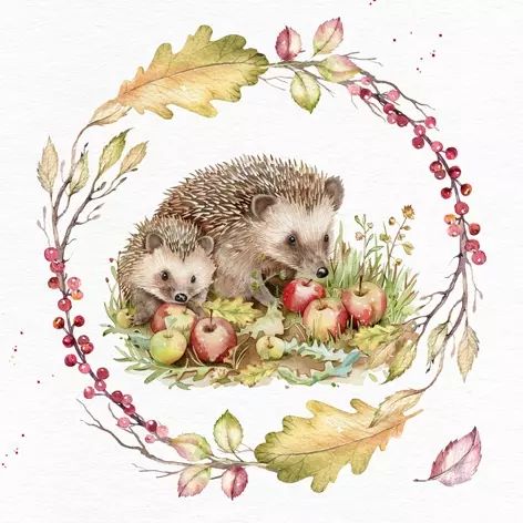 Two hedgehogs among apples and leaves on a white background