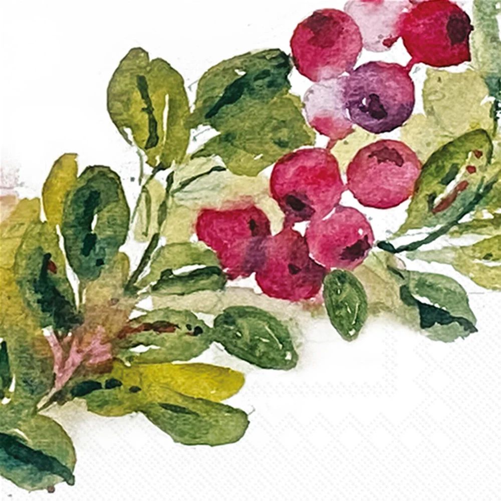 Artistic depiction of berries and leaves on a white background