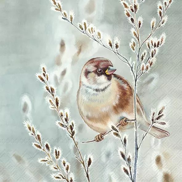 Bird perched on a branch with dried leaves against a light background
