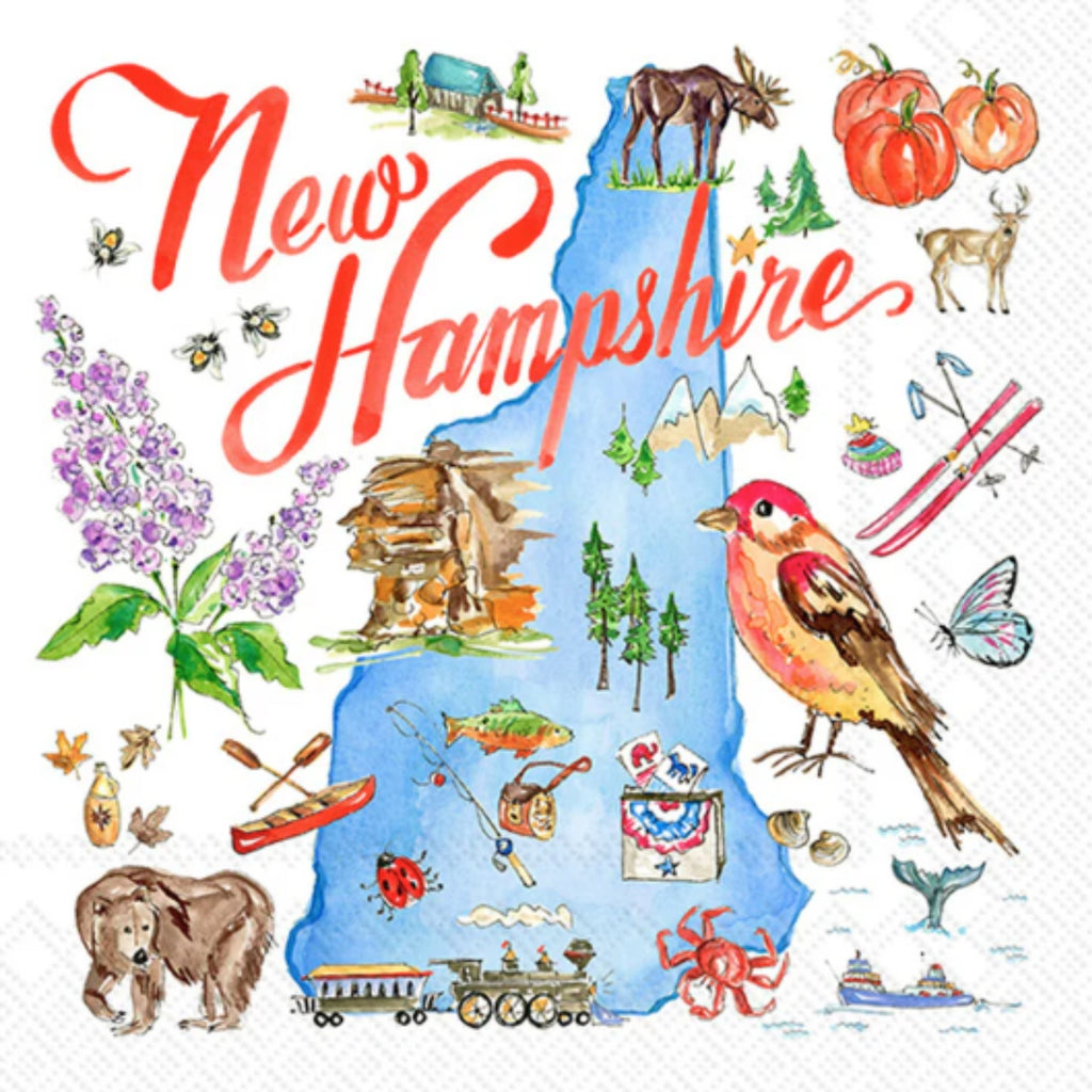 Map of New Hampshire with various icons and symbols on a white background