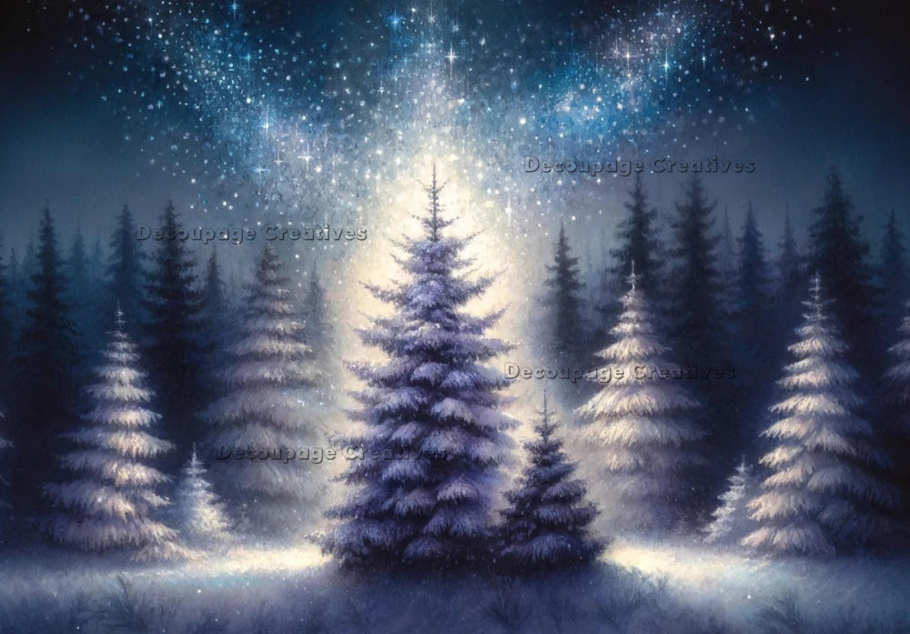 evergreen trees in snow forest at night Decoupage Creatives