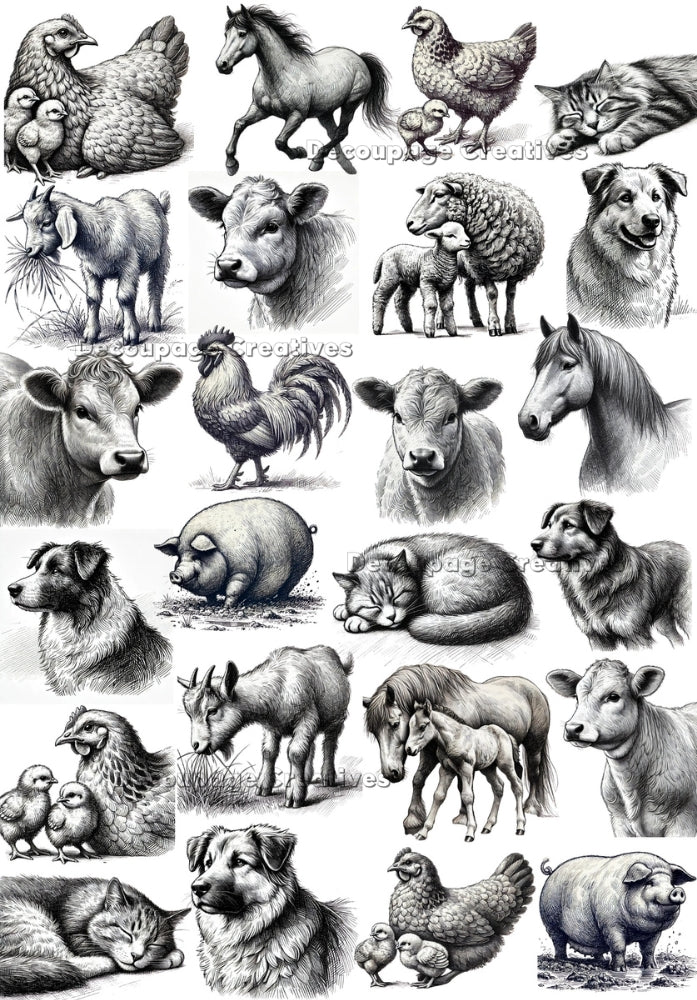 sketched farm animals Decoupage Creatives