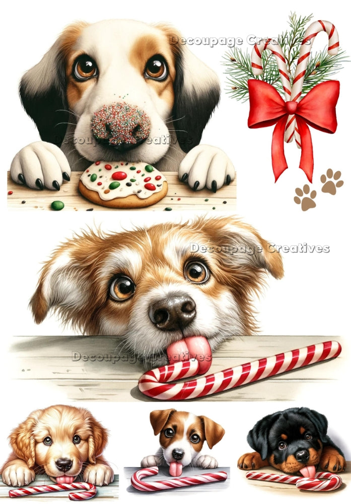 cute puppies eating cookies and candy canes Decoupage Creatives