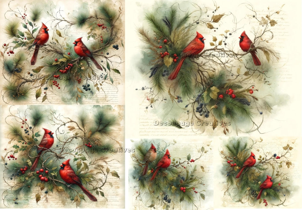 red cardinals in holly branches with red berries Decoupage Creatives