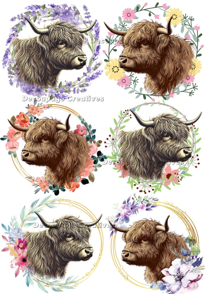 highland cows in spring wreaths Decoupage Creatives