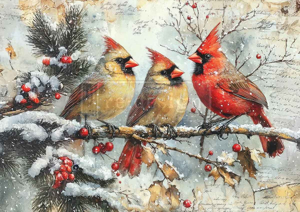 Three cardinals on a branch with berries and snow in the background