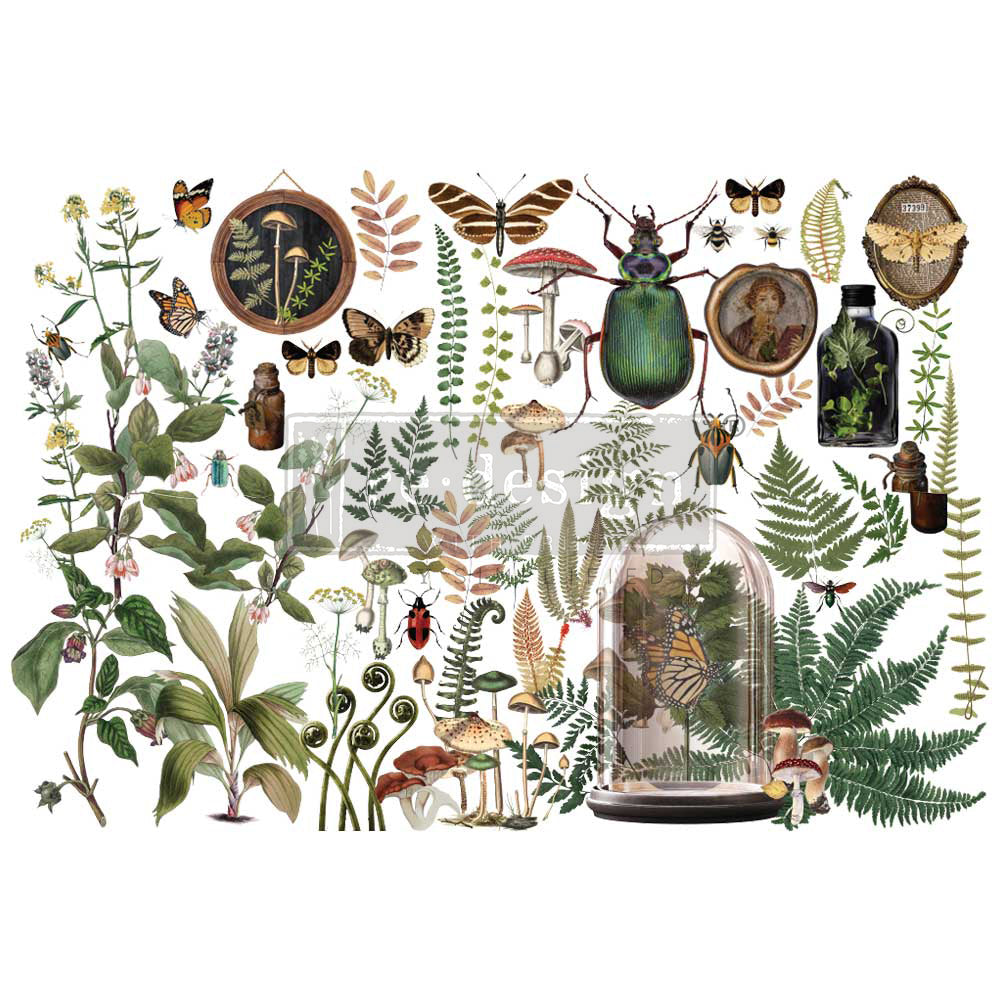 Leafy Green Botanical with insect images. ReDesign with Prima My Findings 24"x35 Decor Transfers® are easy to use rub-on transfers for Furniture and Mixed Media uses