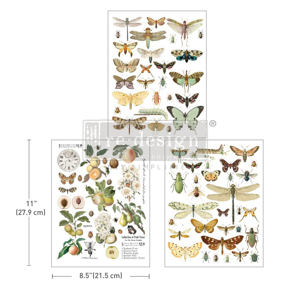 ReDesign with Prima Bug Whisperer Decor Transfers® are easy to use rub-on transfers for Furniture and Mixed Media uses