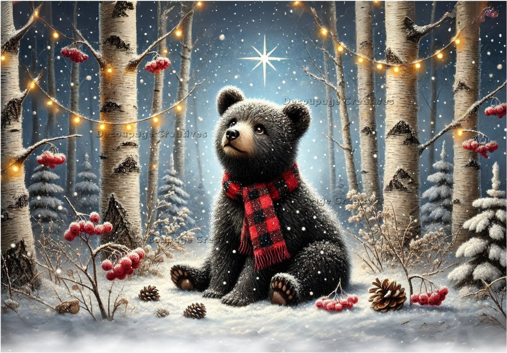 black bear with plaid scarf looking the stars in a aspen grove in the snow at night decoupage rice papers from decoupage creatives