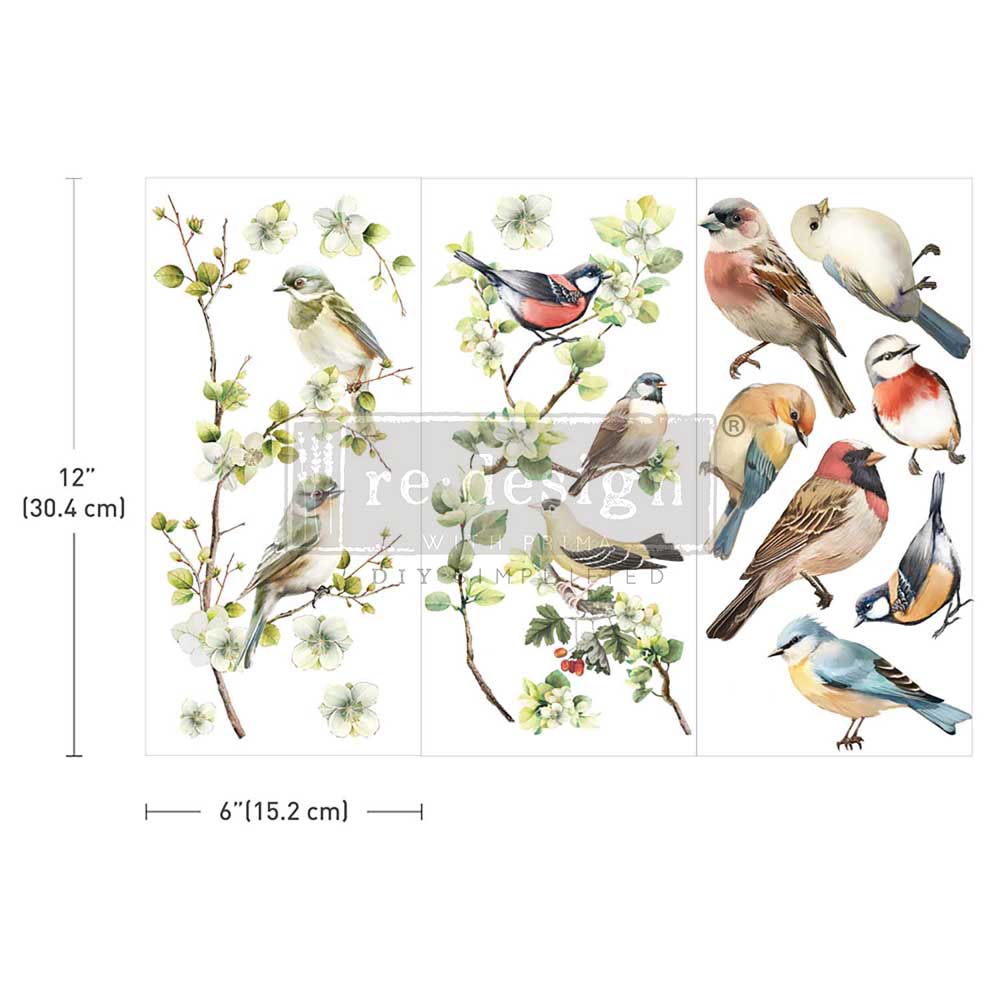 Redesign Prima Rub on transfers with colorful birds on branches with white flowers