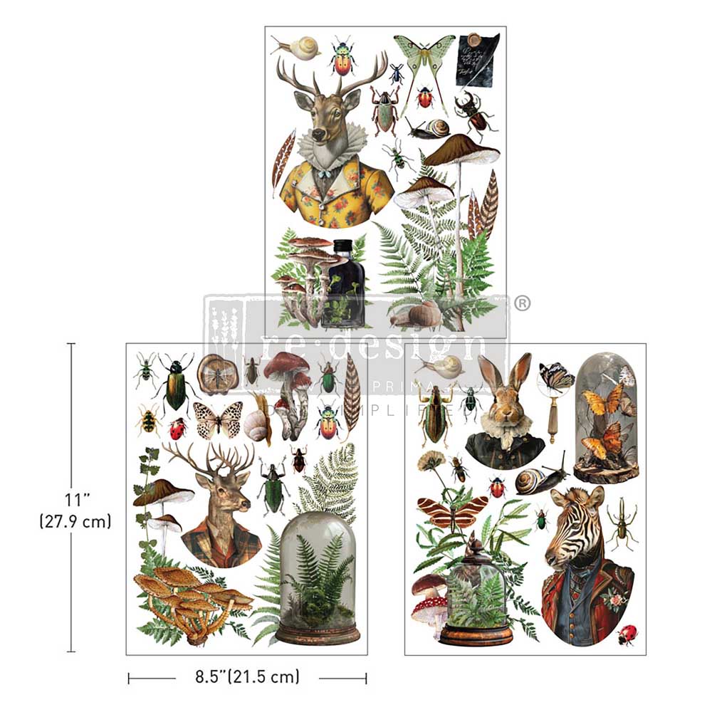 Whimsical ephemera rub on transfer by ReDesign with Prima. Styled deer rabbit and zebra beetles butterflies ferns and mushrooms