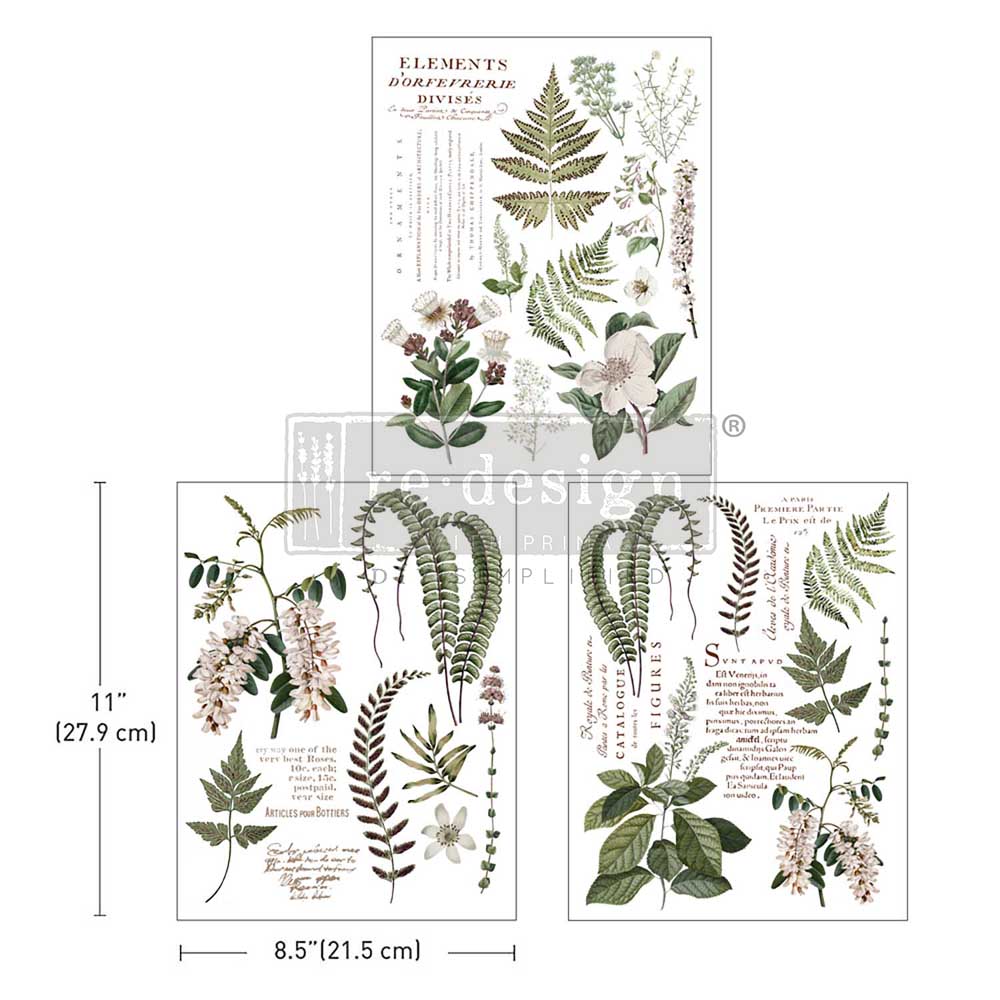 White and green floral rub on transfer by ReDesign with Prima. White flowers with ferns and greenery with script.